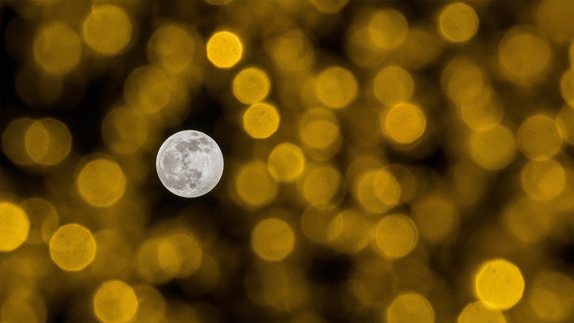 The December full moon seen through holiday lights (© Jesus Merida/Getty Images)(Bing Canada)