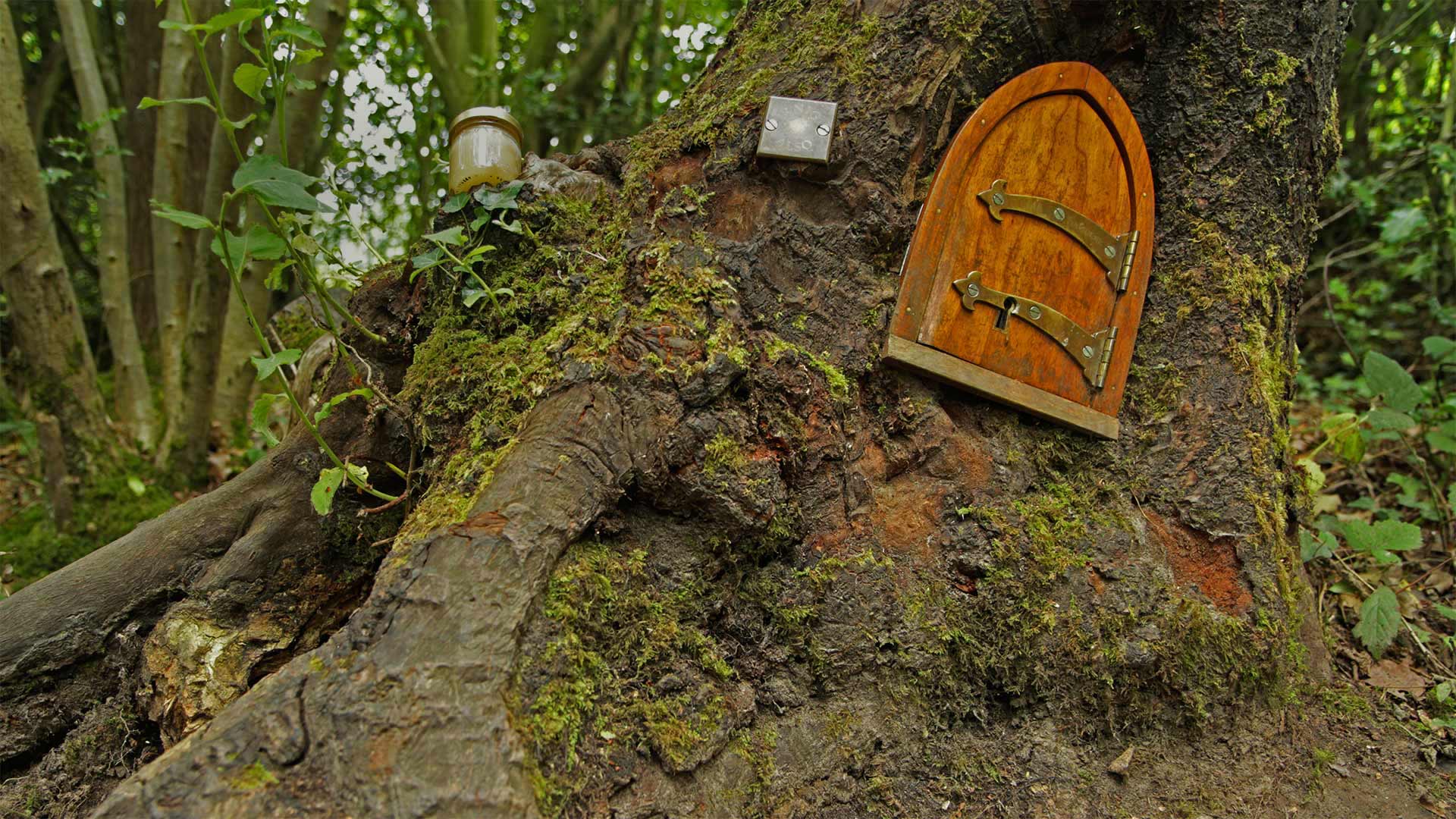 Ashdown Forest, home of Winnie-the-Pooh, England (© Mark Phillips/Alamy)(Bing United States)