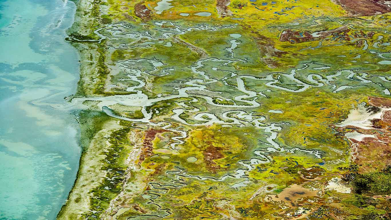Langebaan Lagoon and West Coast National Park in South Africa (© Peter Chadwick/Science Photo Library)(Bing United Kingdom)