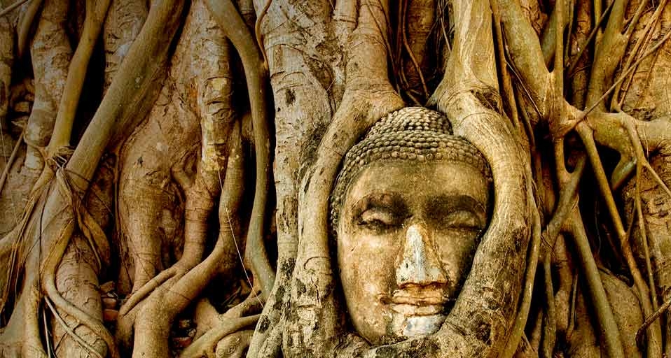 A stone Buddha head sits entwined in the roots of a fig tree in the ancient ruins of Wat Mahatat, Ayudya, Thailand -- Thom Lang/Corbis &copy; (Bing United Kingdom)