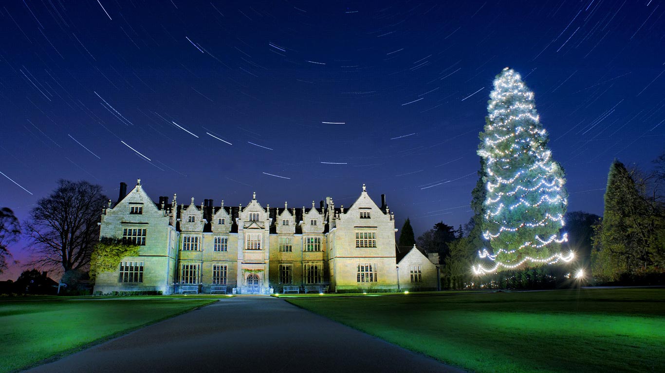 Star trails above the Christmas tree at Wakehurst, West Sussex (© Andrew Hasson/REX/Shutterstock)(Bing United Kingdom)