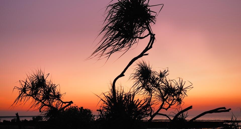 Sunset at East Point, Darwin, Northern Territory, Australia (© Horst Mahr / Getty Images) &copy; (Bing Australia)