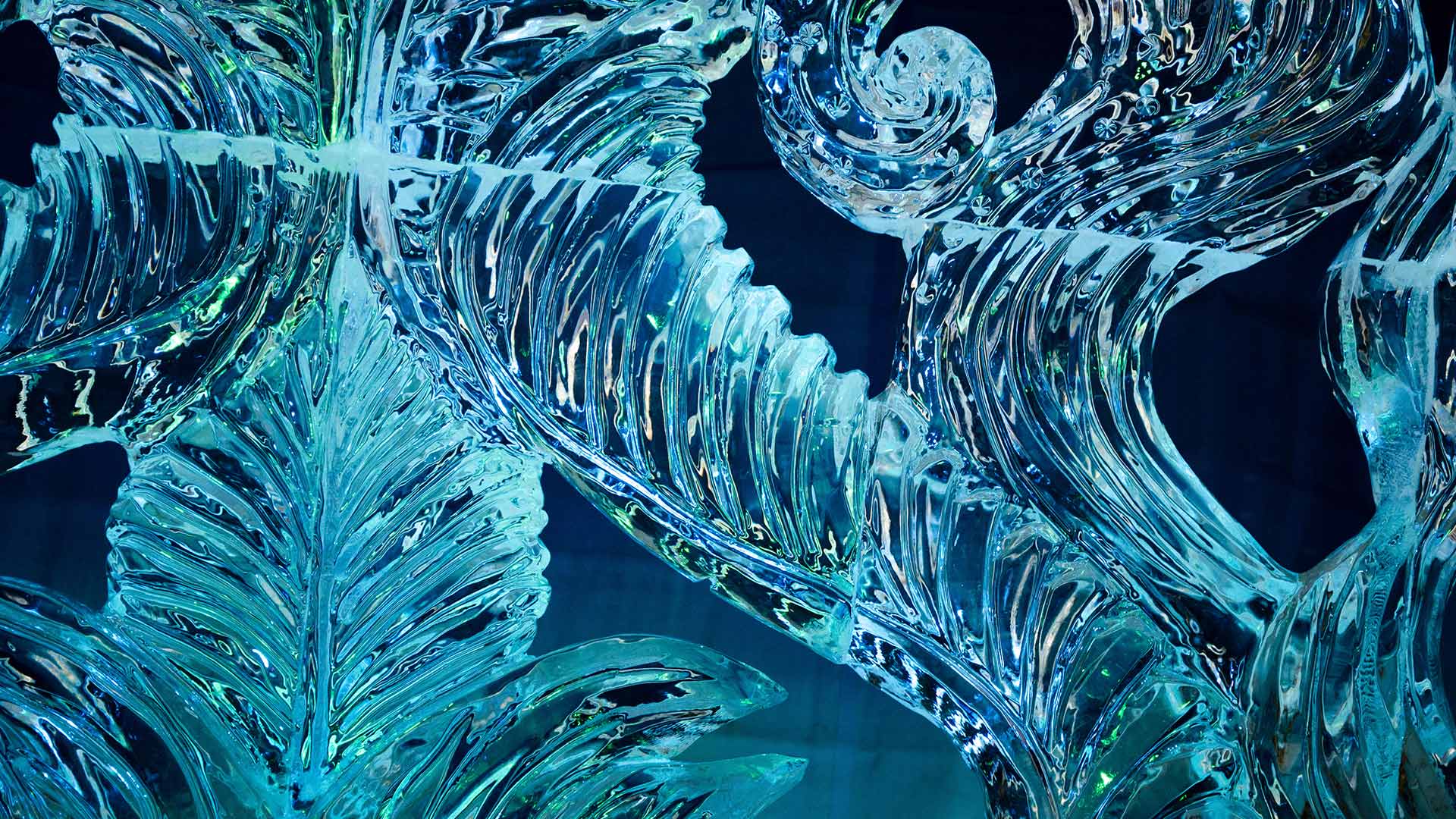 Eisskulpturen auf dem Winterlude-Festival 2013 in Ottawa, Kanada (© S. Garcia Cournoyer/Alamy)(Bing Deutschland)