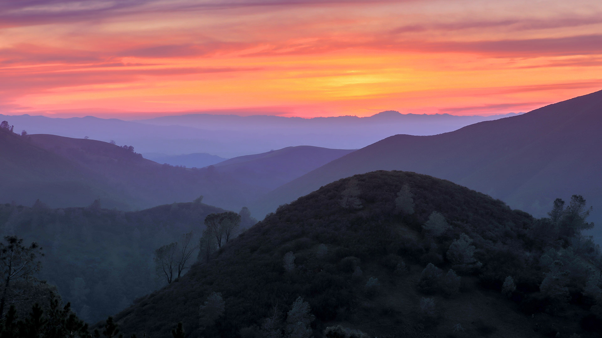 Mount Diablo State Park, California, USA (© Yuval Helfman/Getty Images)(Bing United Kingdom)