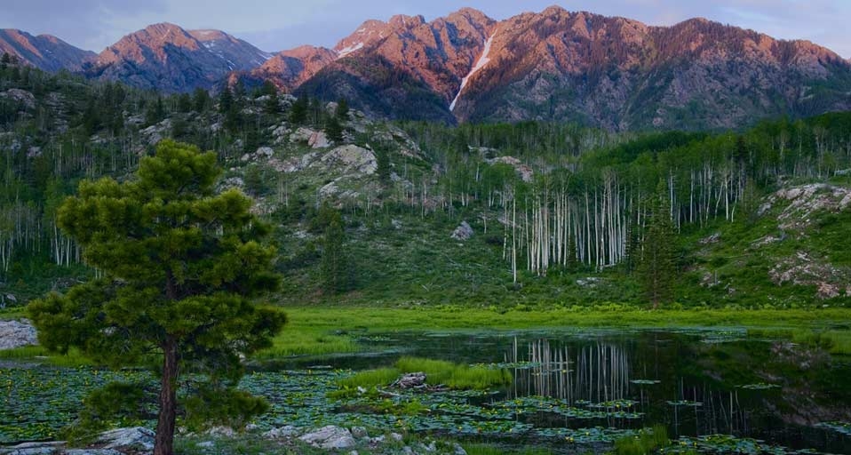 The peaks of the San Juan Mountains, part of the Rocky Mountains, rise above a beaver pond  in southwest Colorado -- Phil Nelson/Photolibrary &copy; (Bing Canada)