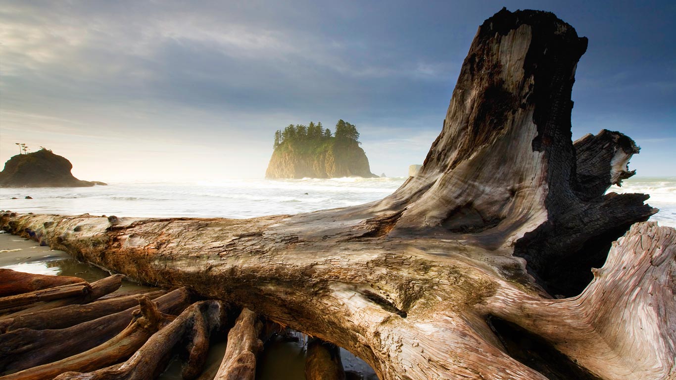 Second Beach, near Olympic National Park and La Push, Washington, USA (© Ian Shive/Tandem)(Bing United Kingdom)