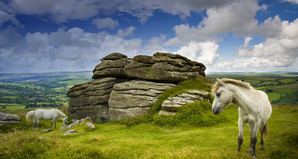 Ponies grazing at Chinkwell Tor, Dartmoor, UK - Adam Burton/Photolibrary &copy; (Bing Canada)