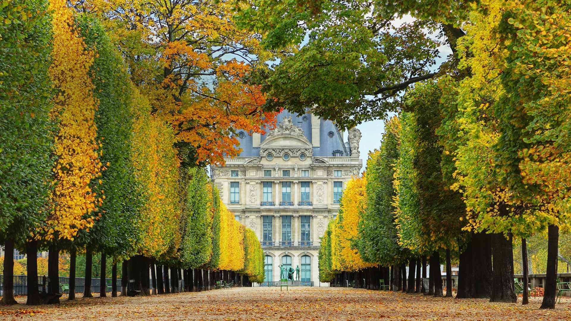 Jardin des Tuileries leading to the Louvre Museum in Paris, France (© Brian A. Jackson/Getty Images Plus)(Bing United Kingdom)