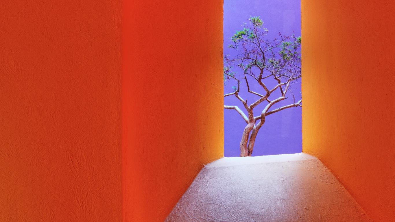 Orange corridor, San José del Cabo, Mexico (© Jeremy Woodhouse/Aurora Photos)(Bing United States)