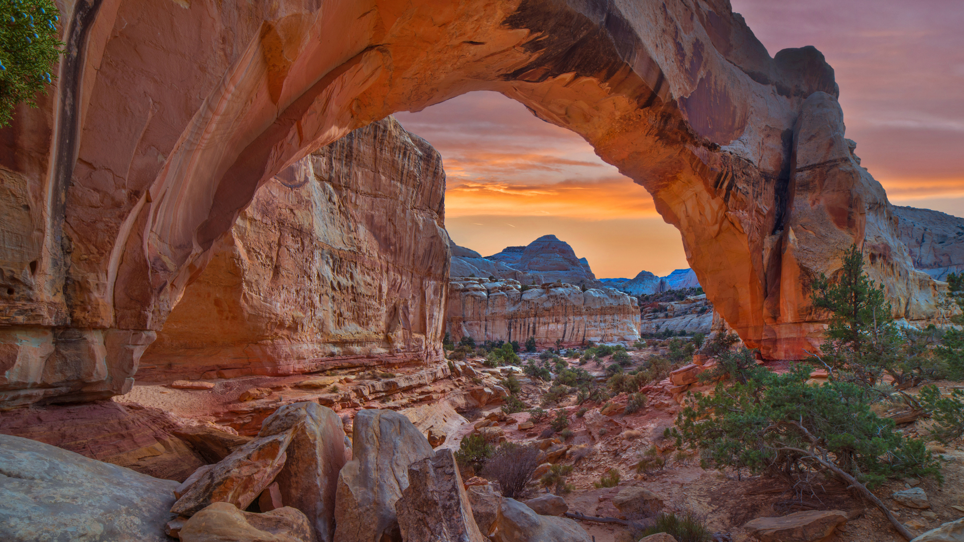 The Hickman Bridge at Capitol Reef National Park, Utah (© Tim Fitzharris/Minden Pictures)(Bing United States)