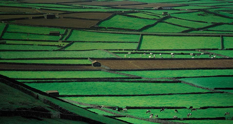 Farmland with stone walls on Terceira Island in the Azores, Portugal -- Canabi Hugo/Photolibrary &copy; (Bing Canada)