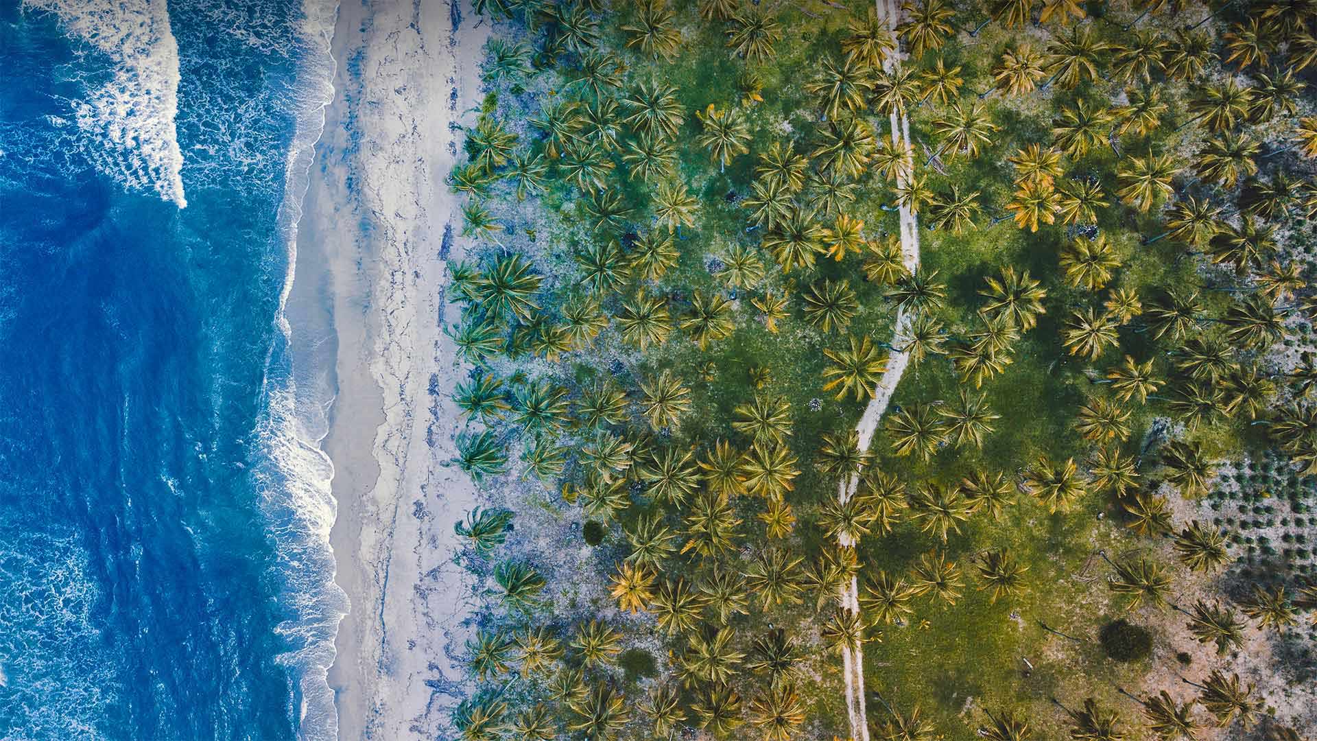 Karibische Küste in der Nähe von Buritaca, Kolumbien (© Nicholas Hills/Getty Images)(Bing Deutschland)