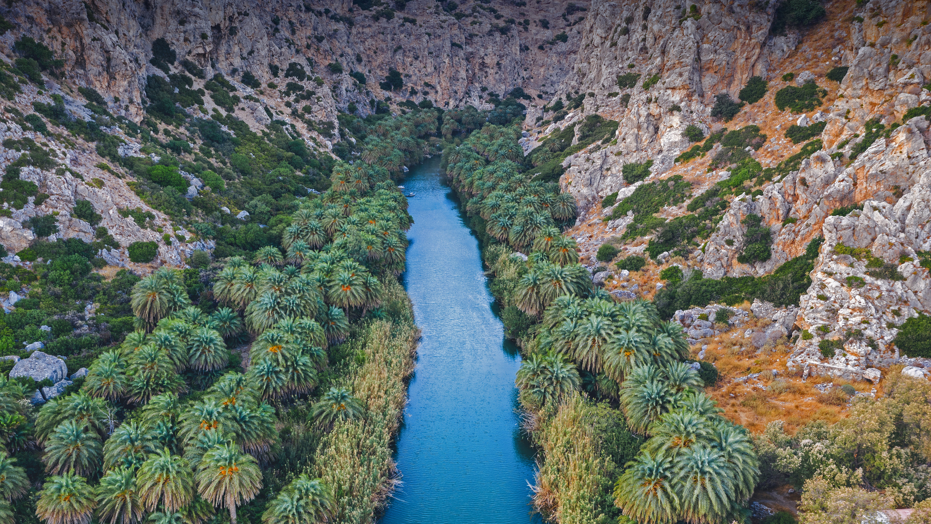 Preveli gorge with river and palm tree forest, South Chania, Crete, Greece (© borchee/Getty Images)(Bing Canada)