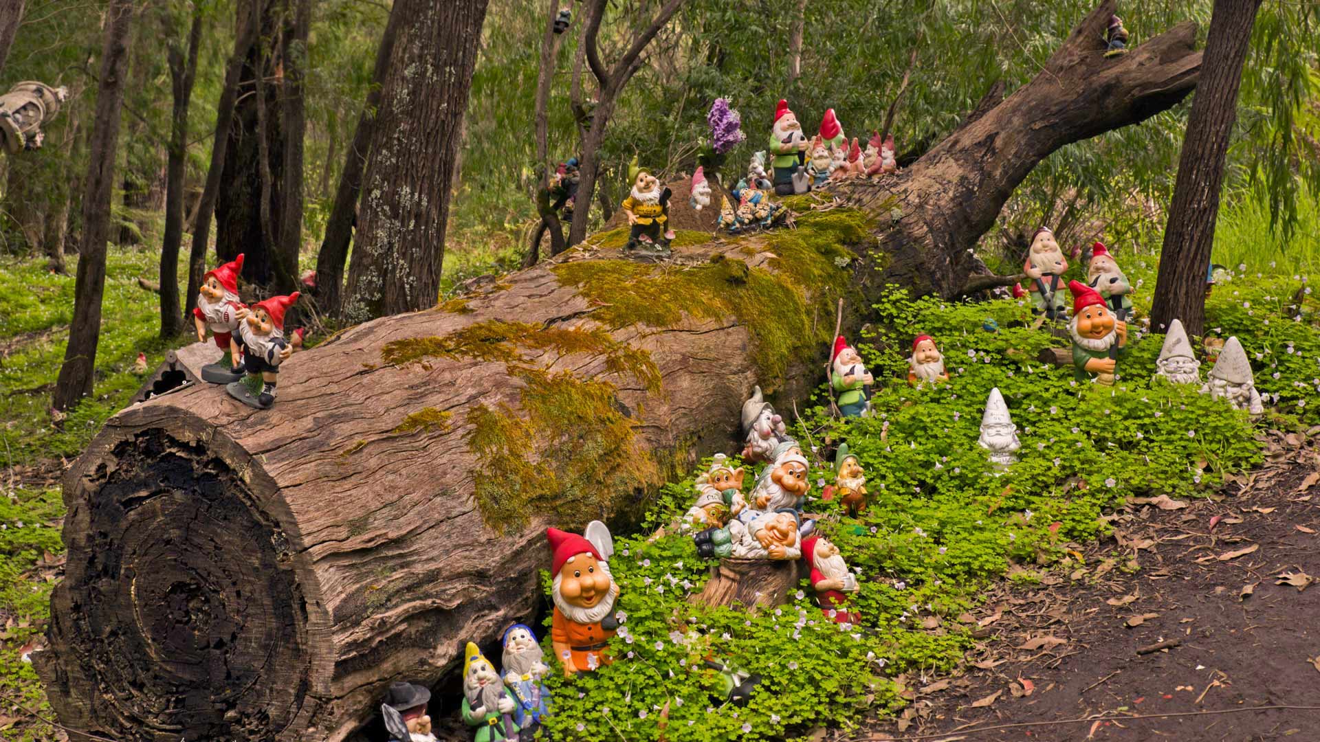 Gnomesville in the Shire of Dardanup, Australia (© Amanda Hughes/Alamy)(Bing United Kingdom)