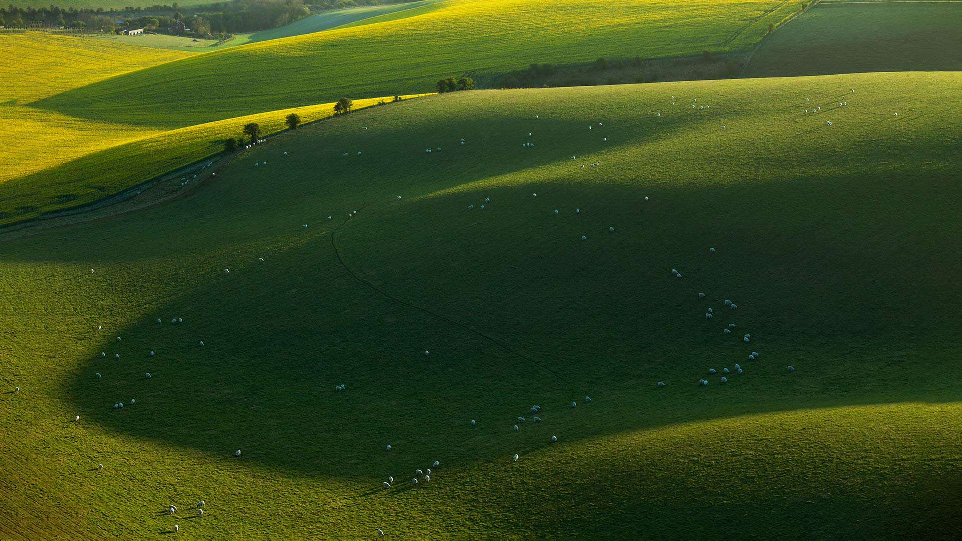 Spring morning in South Downs National Park, East Sussex (© Slawek Staszczuk/Alamy Stock Photo)(Bing United Kingdom)
