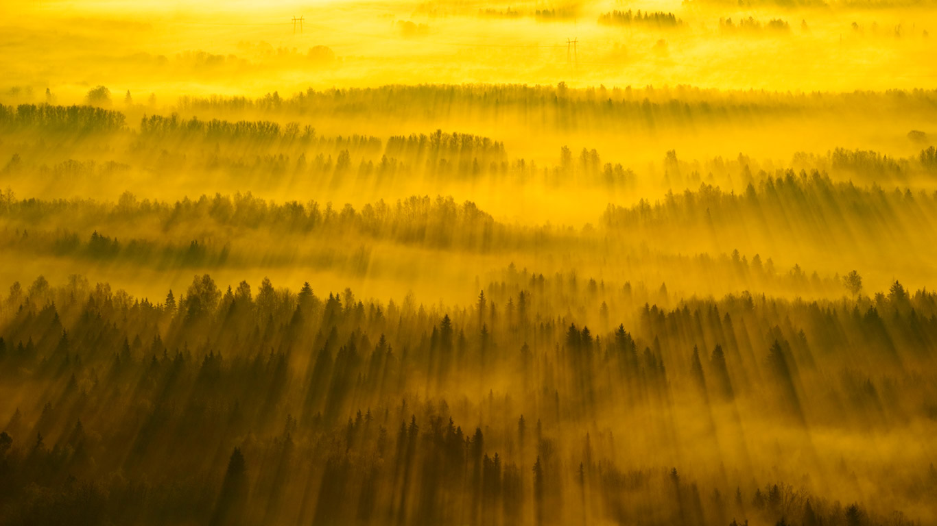 Sunbeams across Tartu County, Estonia (© Sven Zacek/Minden Pictures)(Bing Canada)