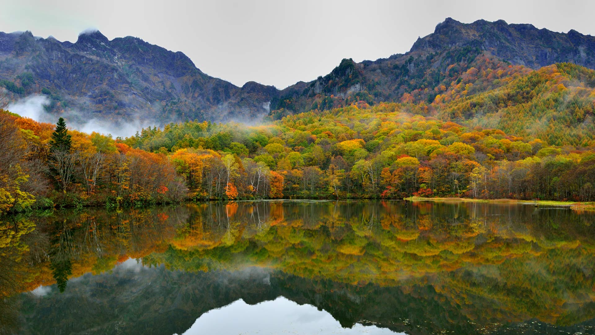 秋日景色倒映于镜池中，日本长野 (© magicflute002/Getty images)(Bing China)