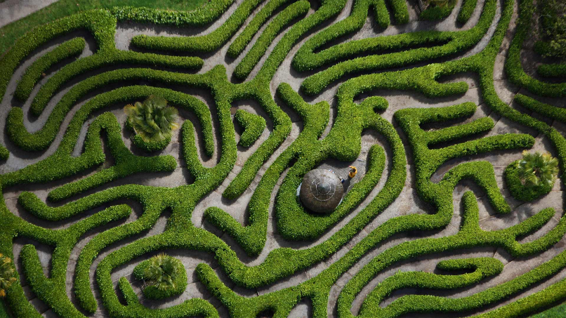 Aerial view of the cherry laurel maze in Glendurgan Garden, Cornwall (© Richard Cooke/Alamy)(Bing United Kingdom)