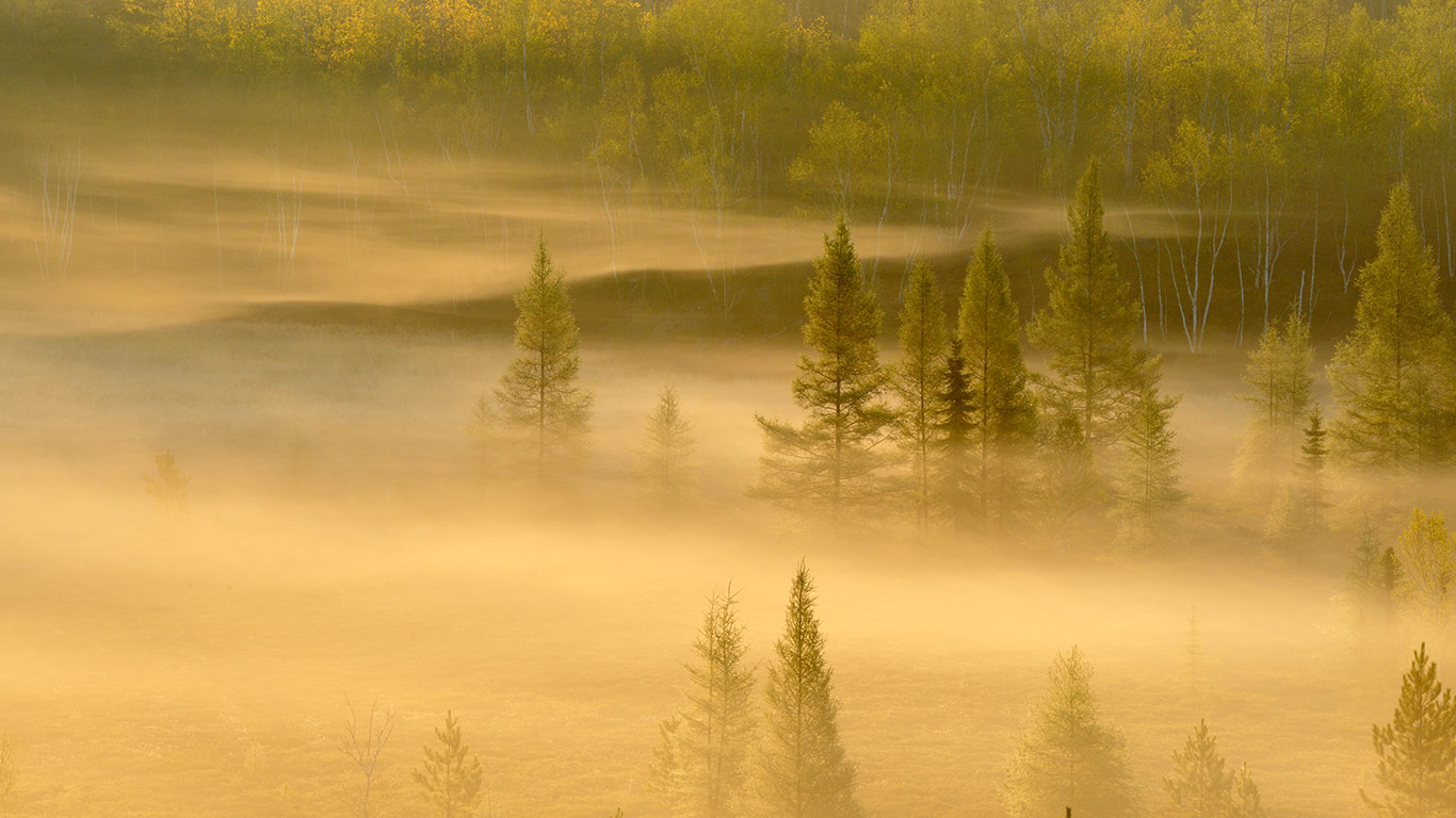 Spring trees in a misty valley, Lively, Sudbury, Ontario (© Don Johnston/All Canada Photos/Age Fotostock)(Bing Canada)