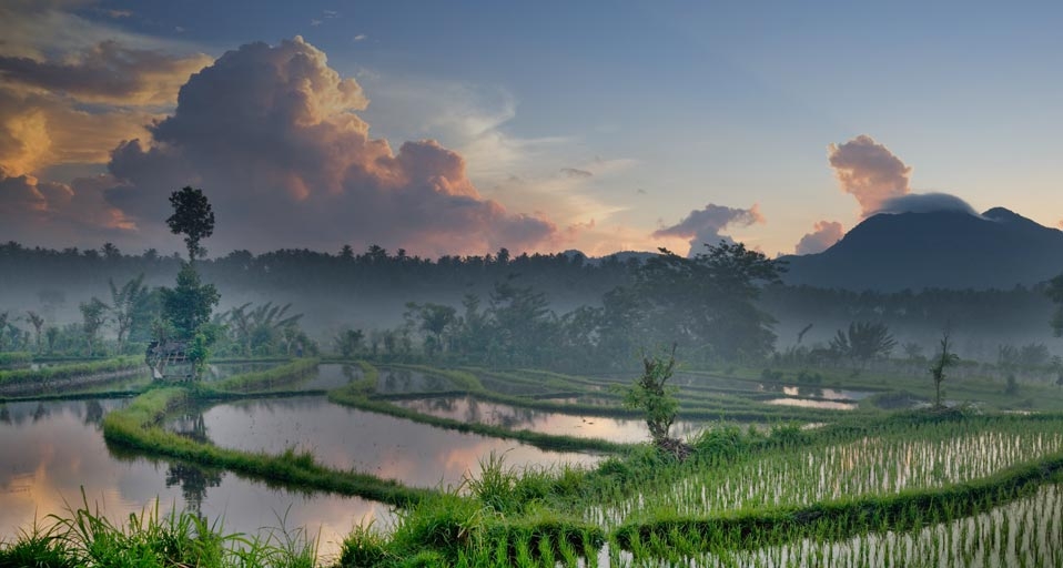 Rice terraces at dawn with Mount Seraya in the distance, Island of Bali, Indonesia -- SIME / eStock Photo &copy; (Bing United Kingdom)