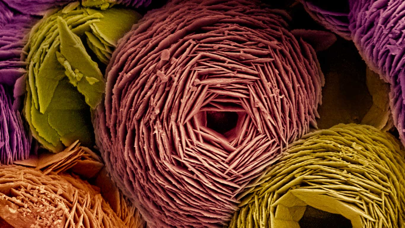 Scanning electron microscope (SEM) image of vaterite (© Science Photo Library)(Bing Canada)
