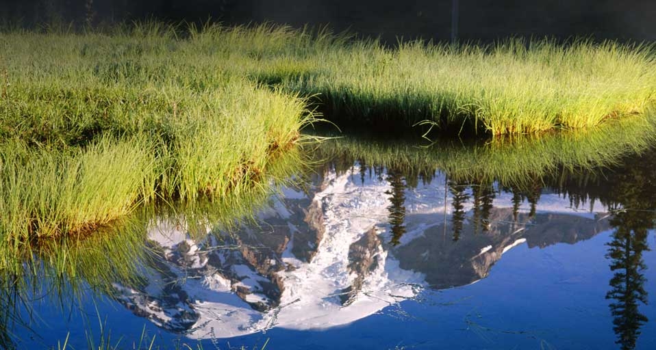 Mt. Rainier reflected in Reflection Lake, Mount Rainier National Park, Washington -- Charles A. Blakeslee/Photolibrary &copy; (Bing Canada)