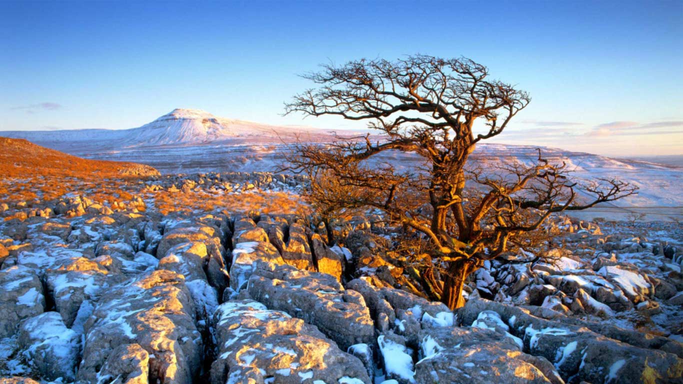 Landscape from Twistleton Scars, Ingleborough, Yorkshire (© Travel Library Limited/Superstock)(Bing United Kingdom)
