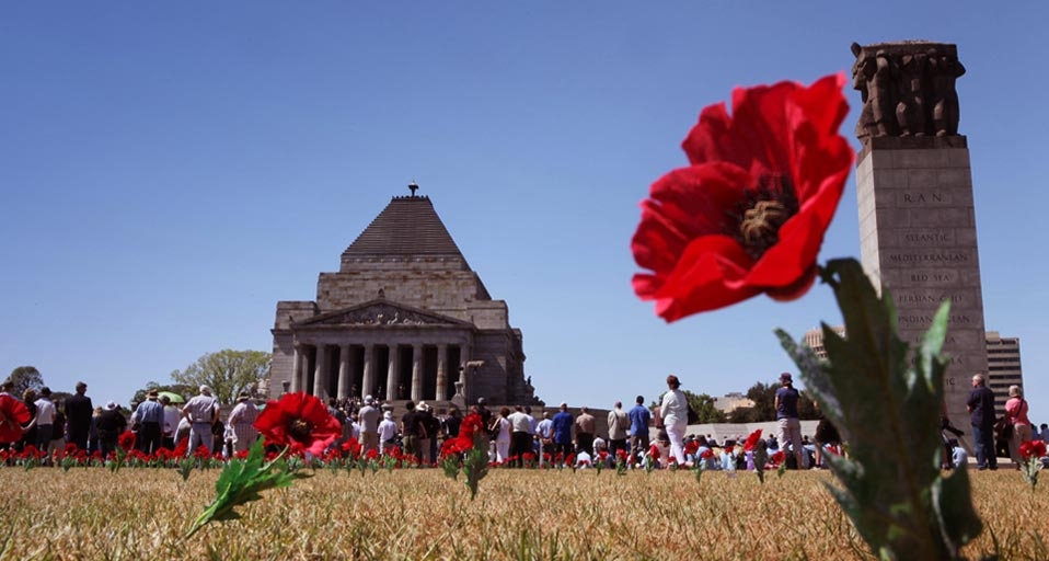 Poppy flowers are placed in front of the Shrine of Remembrance to mark Remembrance Day in Melbourne, November 11, 2009 -- David Grosling/Corbis &copy; (Bing Australia)
