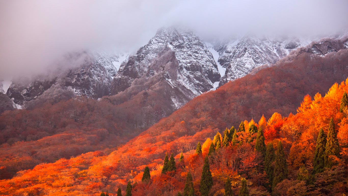 大山，日本神奈川县 (© Katsuhiro Yamanashi/Getty Images)(Bing China)