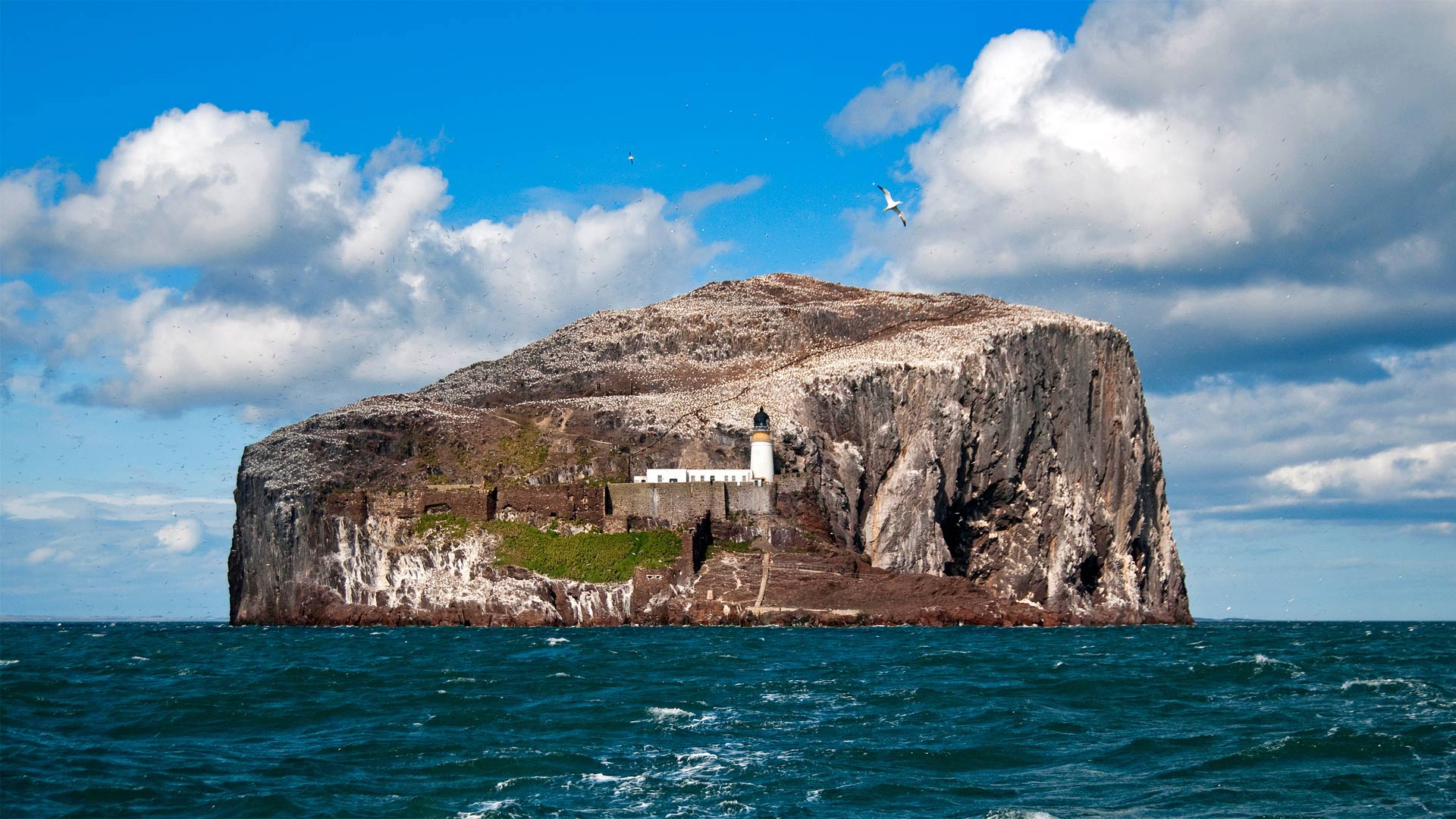 The Bass Rock in Scotland’s Firth of Forth (© Richard Shucksmith/Minden Pictures)(Bing United Kingdom)