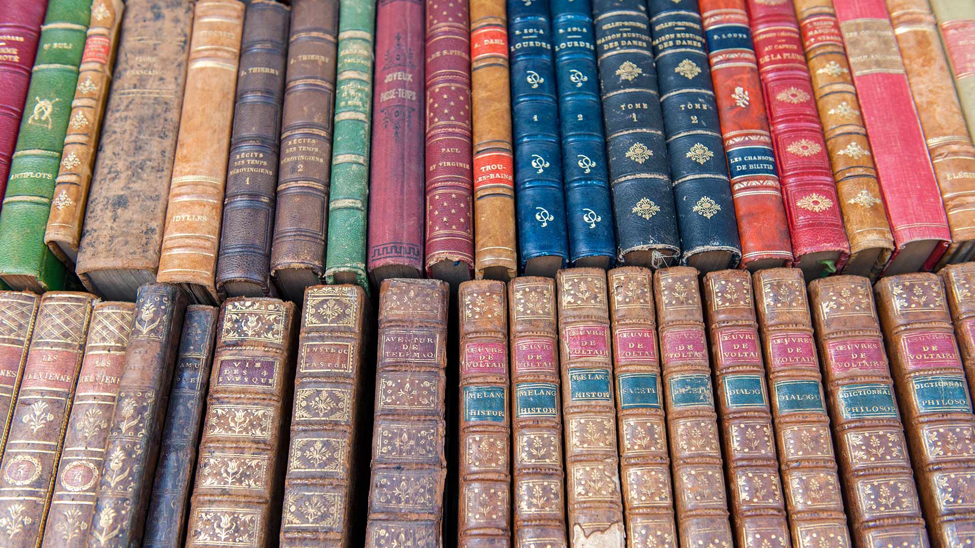 Livres anciens à Dijon, Bourgogne (© Jim Engelbrecht/DanitaDelimont.com)(Bing France)