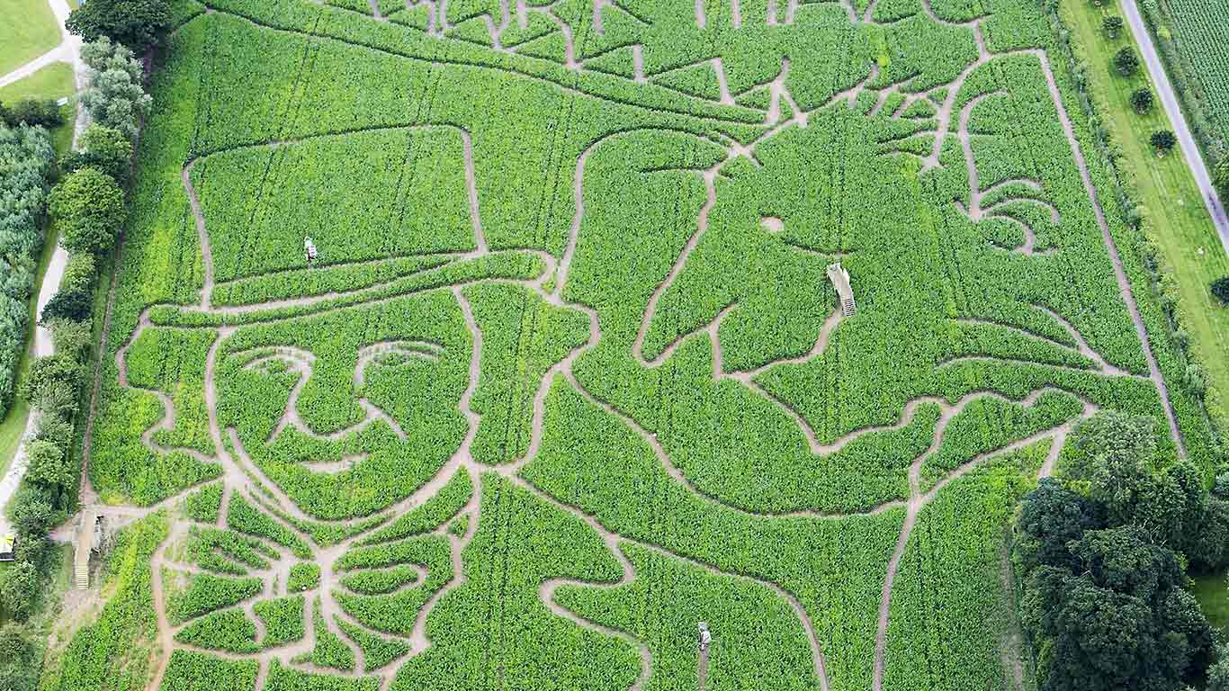 A Roald Dahl-themed maze in York (© Andrew McCaren/LNP/Rex/Shutterstock)(Bing United Kingdom)