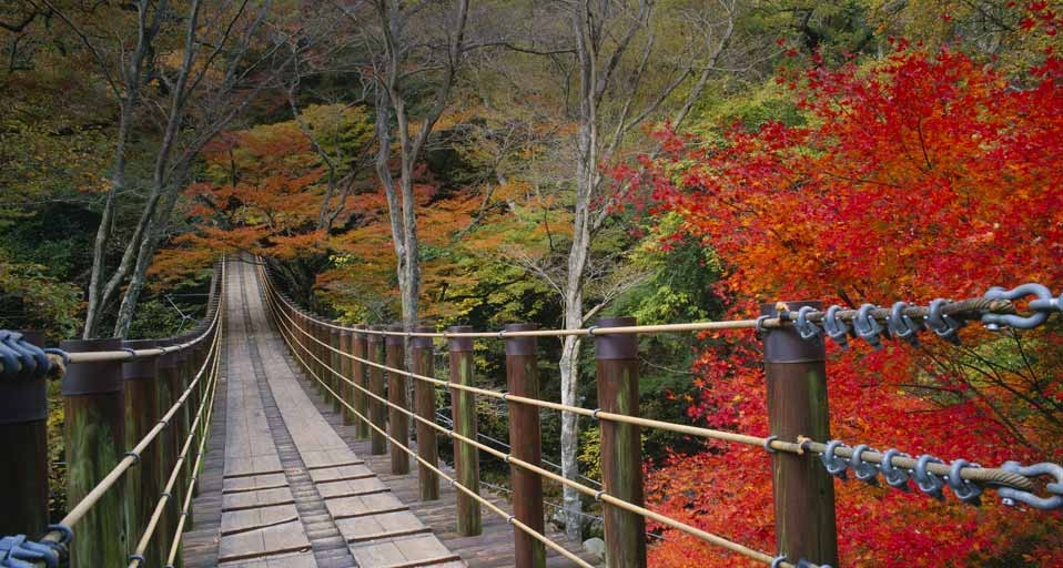 ｢花貫渓谷｣茨城, 高萩市 -- JTB Photo/Photolibrary &copy; (Bing Japan)