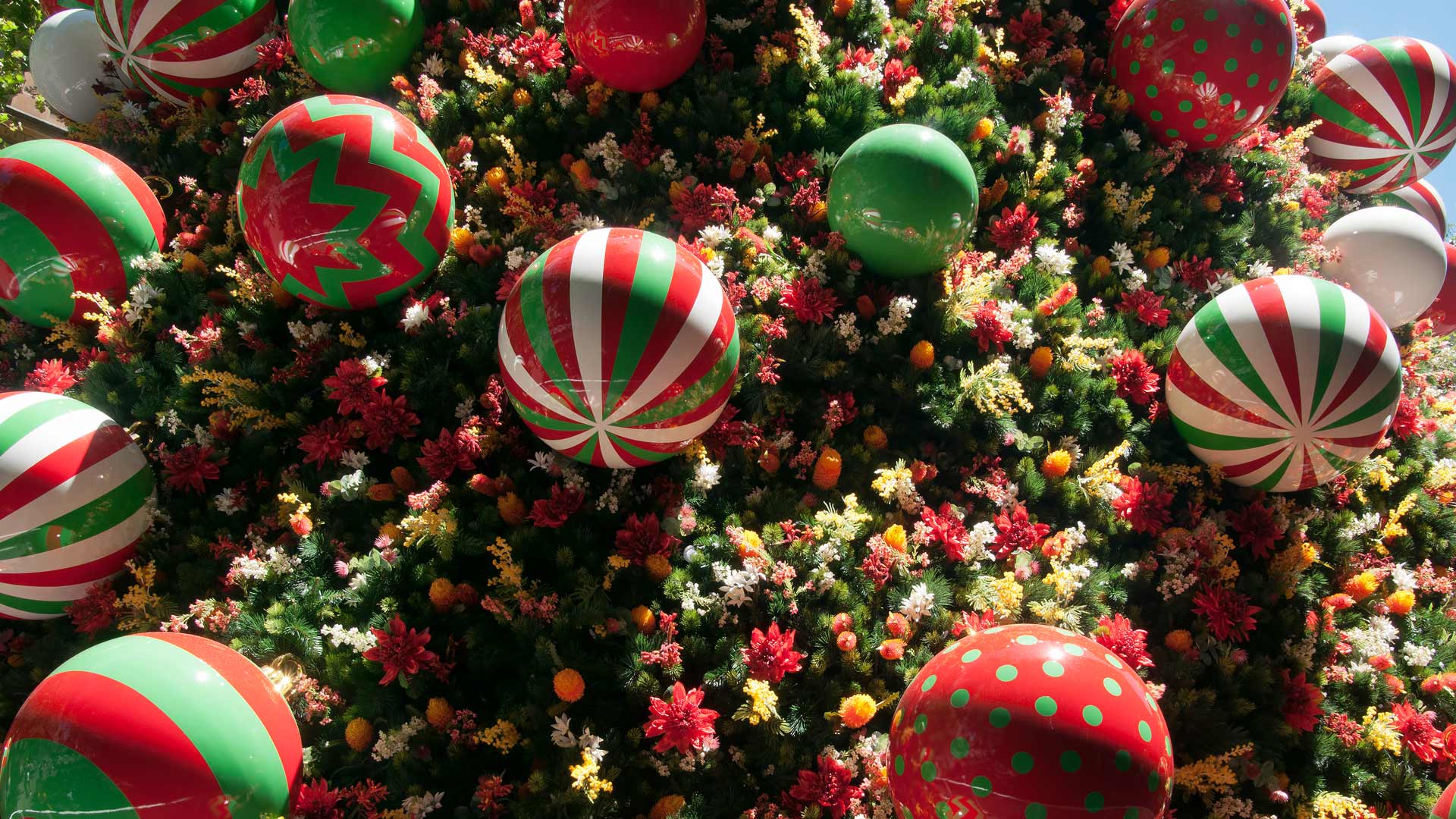 Close-up of Christmas tree decorations in Martin Place, Sydney, New South Wales (© Karin de Mamiel/iStock/Getty Images Plus)(Bing Australia)