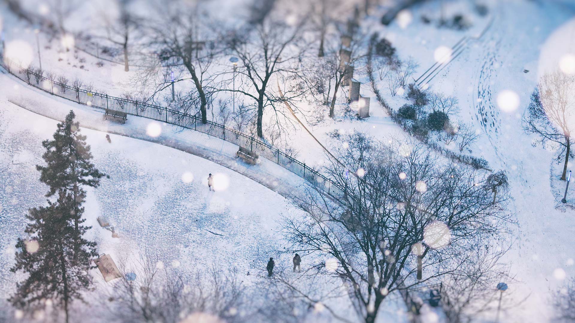 Aerial view of a little park on a snowy day in Toronto (© Katrin Ray Shumakov/Getty Images)(Bing Canada)