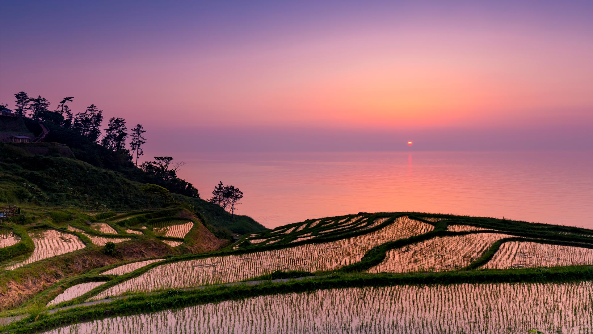 ｢白米千枚田の夕日｣石川, 輪島市 (©  M Andy/Shutterstock)(Bing Japan)