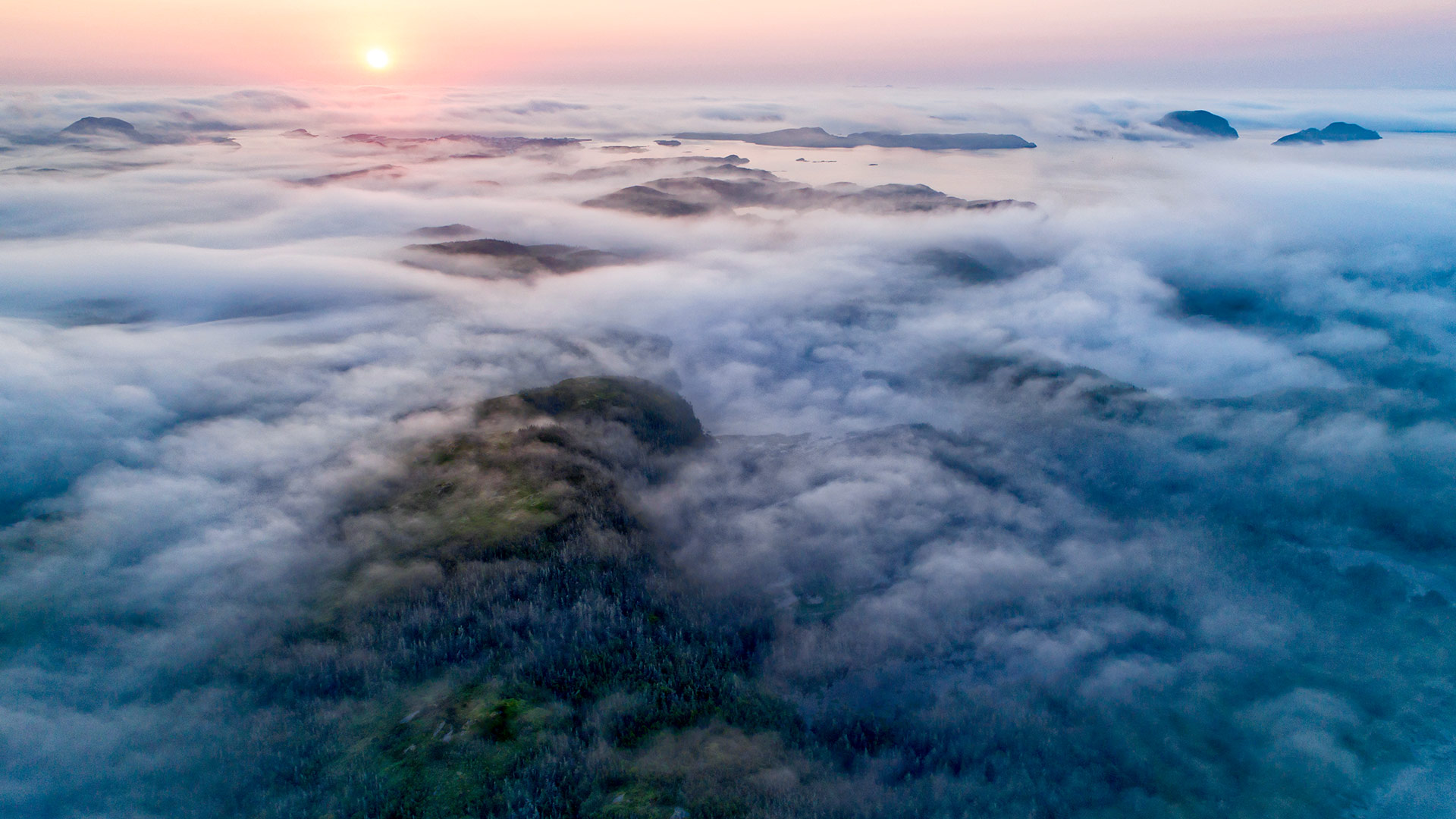 Low-lying fog along the coast, Newfoundland and Labrador (© Scott Leslie/Minden Pictures)(Bing Canada)
