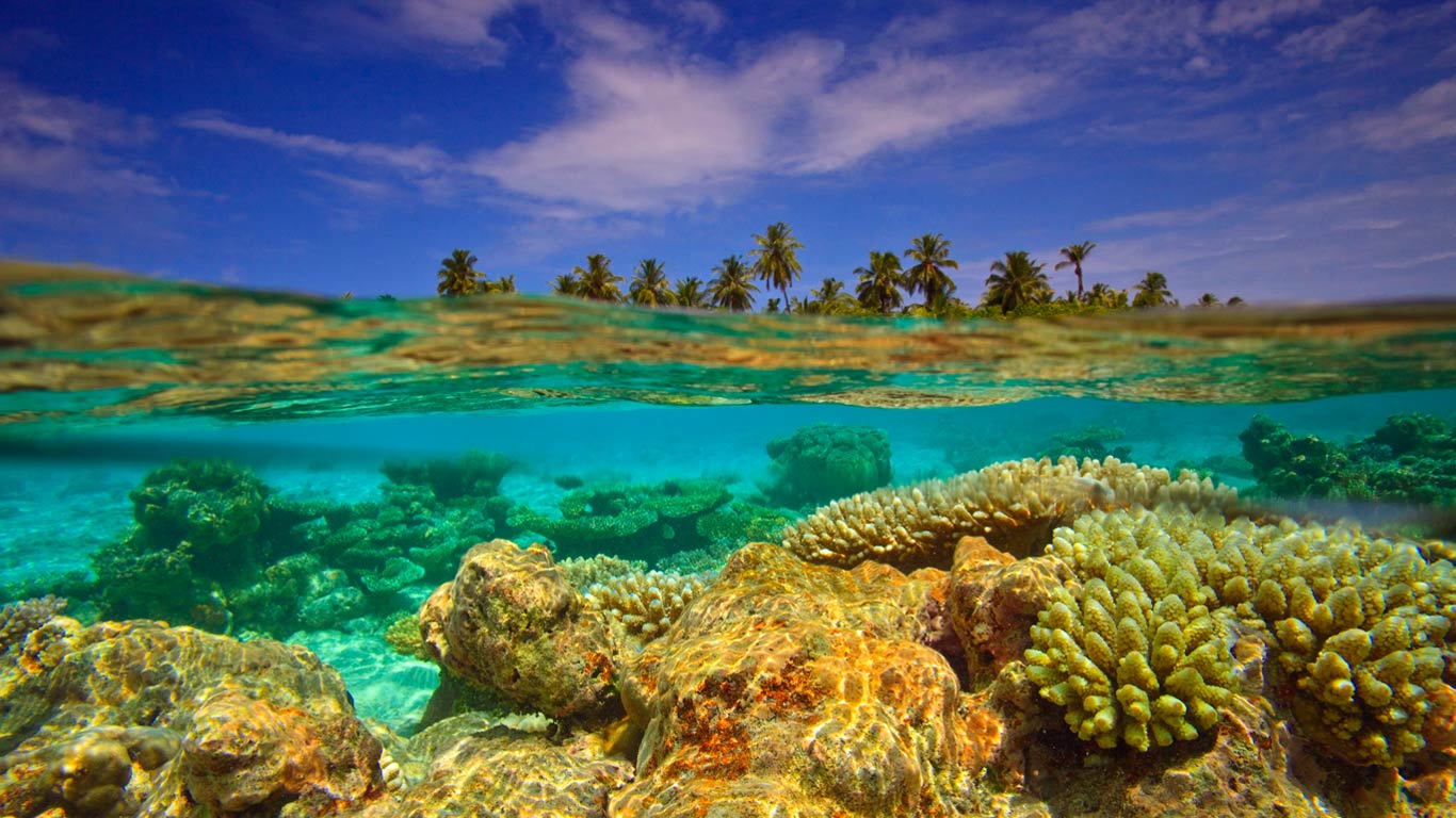 Reef near Baulhagallaa Island, Gaafu Dhaalu Atoll, Maldives (© Stuart Westmorland/Corbis)(Bing United Kingdom)