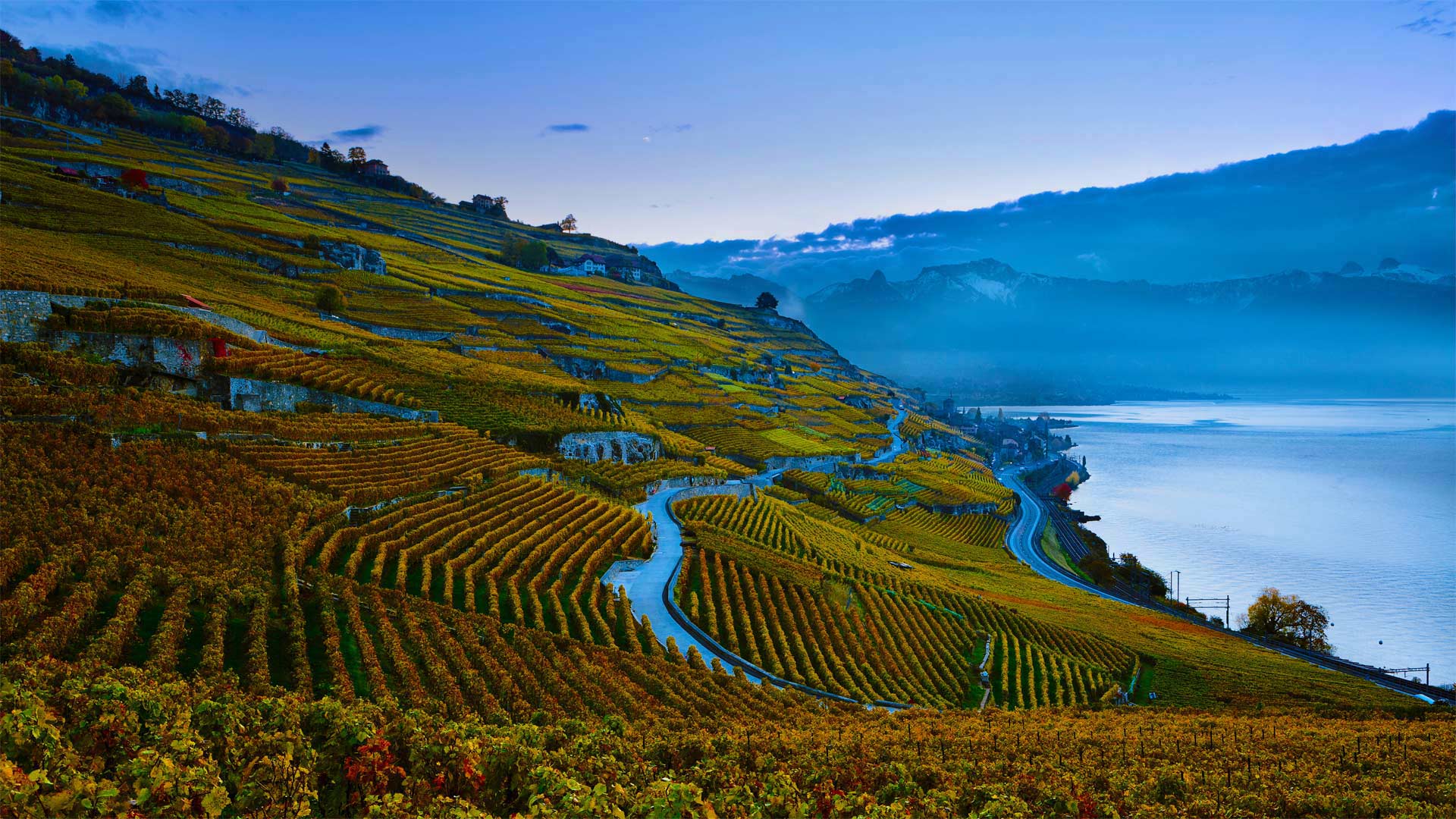 Steeply terraced vineyards of the Lavaux region on the shores of Lake Geneva, Switzerland (© Yves Marcoux/plainpicture)(Bing United Kingdom)