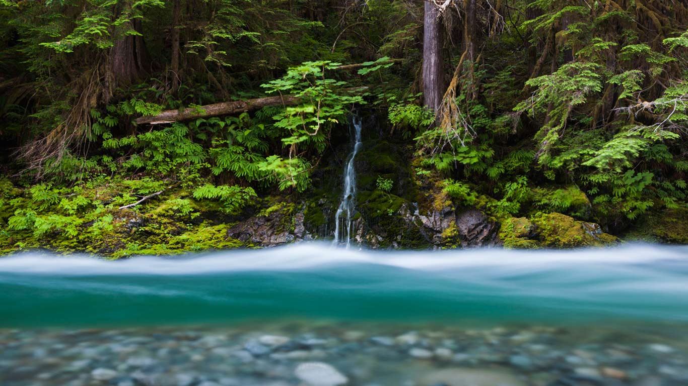 Bacon Creek, Mount Baker-Snoqualmie National Forest, Washington (© Ethan Welty/Tandem Stills + Motion)(Bing Canada)
