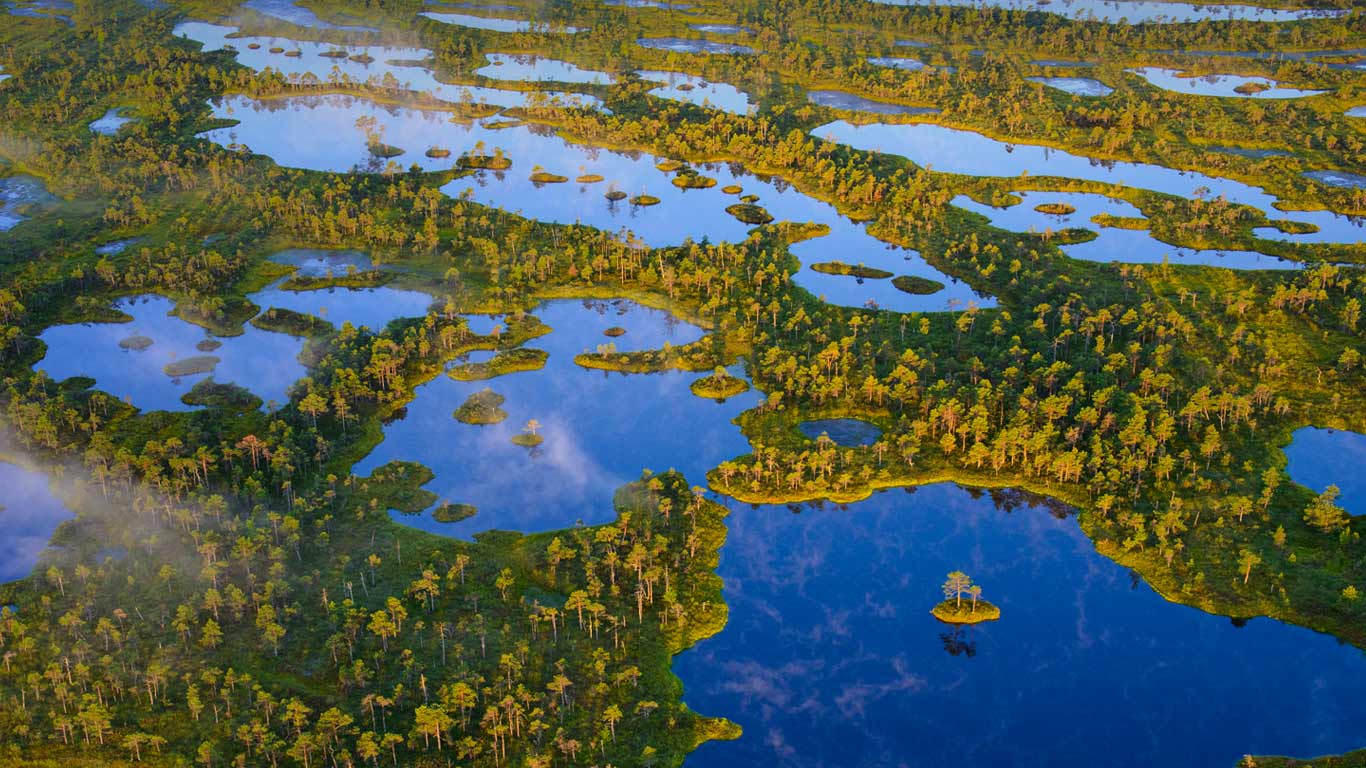 Ķemeri National Park, Latvia (© Sven Zacek/Minden Pictures)(Bing United Kingdom)
