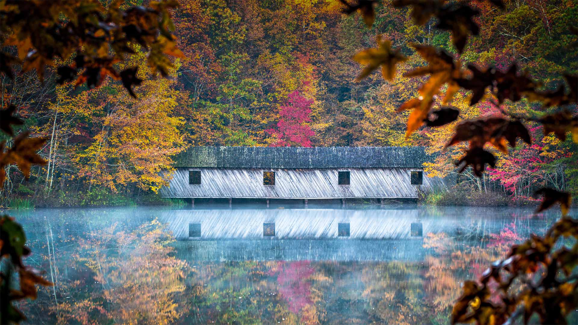 Cambron Covered Bridge in Green Mountain Park, Alabama, USA (© Jens Lambert/Shutterstock)(Bing United Kingdom)
