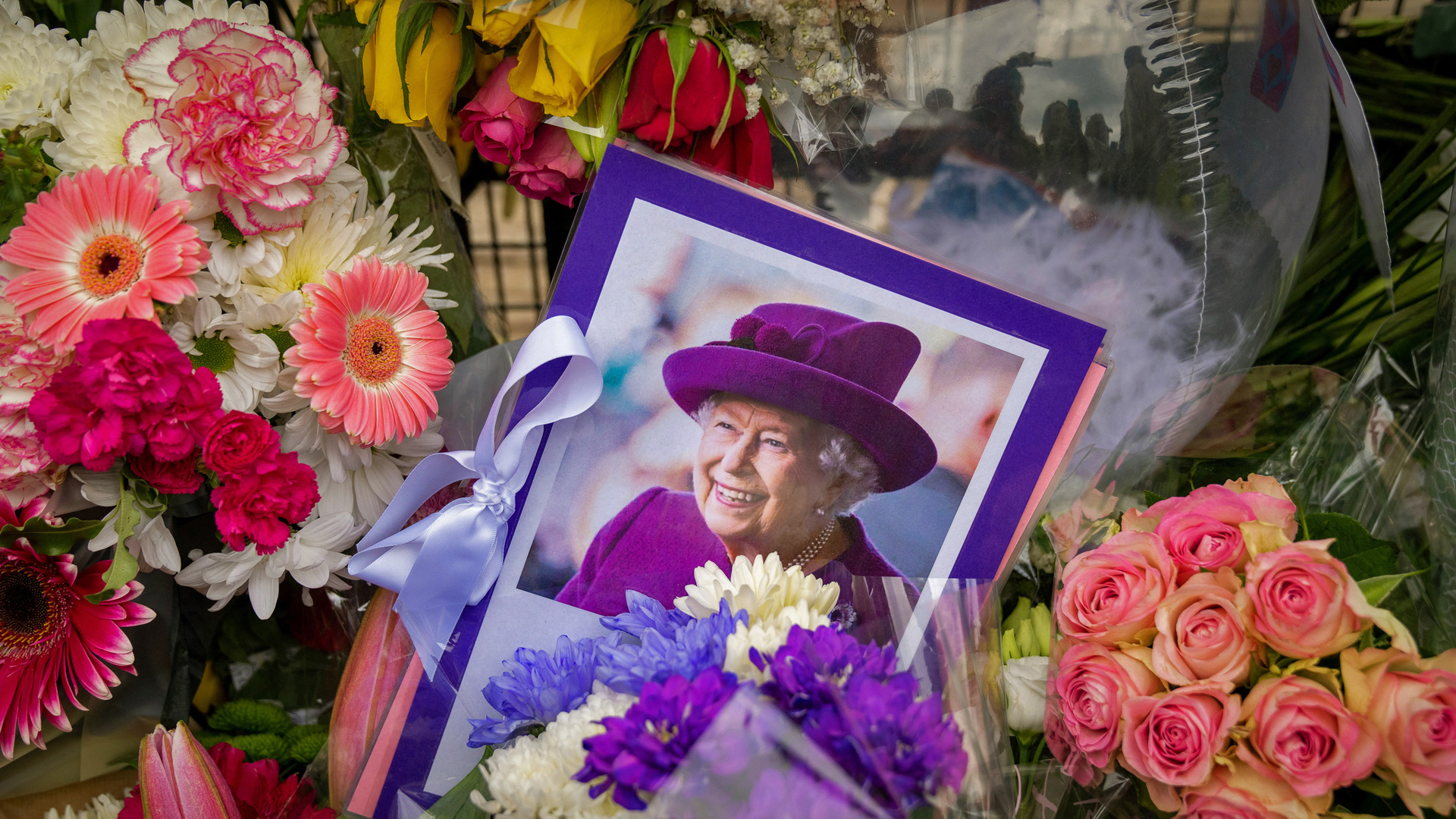 Floral tributes left in London following the death of Queen Elizabeth II (© Maja Smiejkowska/Reuters)(Bing United Kingdom)