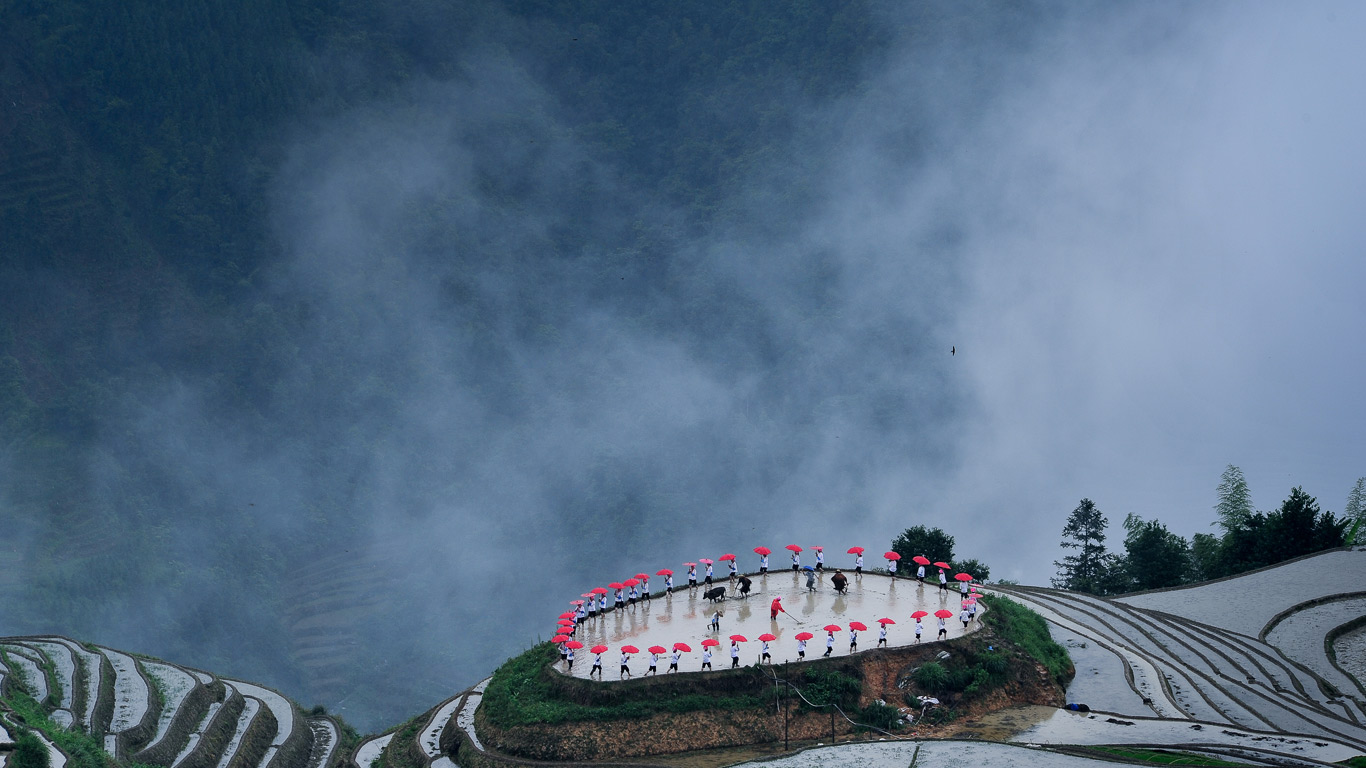 【今日谷雨】平安村种植节期间龙胜梯田的忙碌景象（© gary76973/Getty Images）(Bing China)