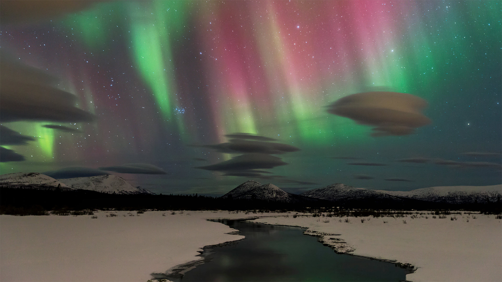 Northern lights near Whitehorse in Yukon, Canada (© Design Pics/Danita Delimont)(Bing United Kingdom)