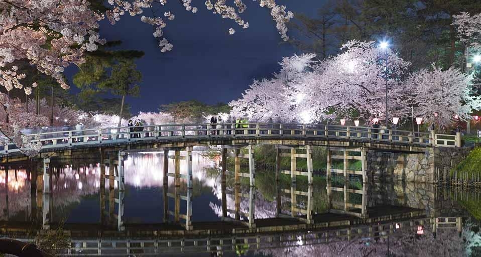 ｢極楽橋と桜｣新潟, 上越市 (© Japan Travel Bureau/Photolibrary) &copy; (Bing Japan)