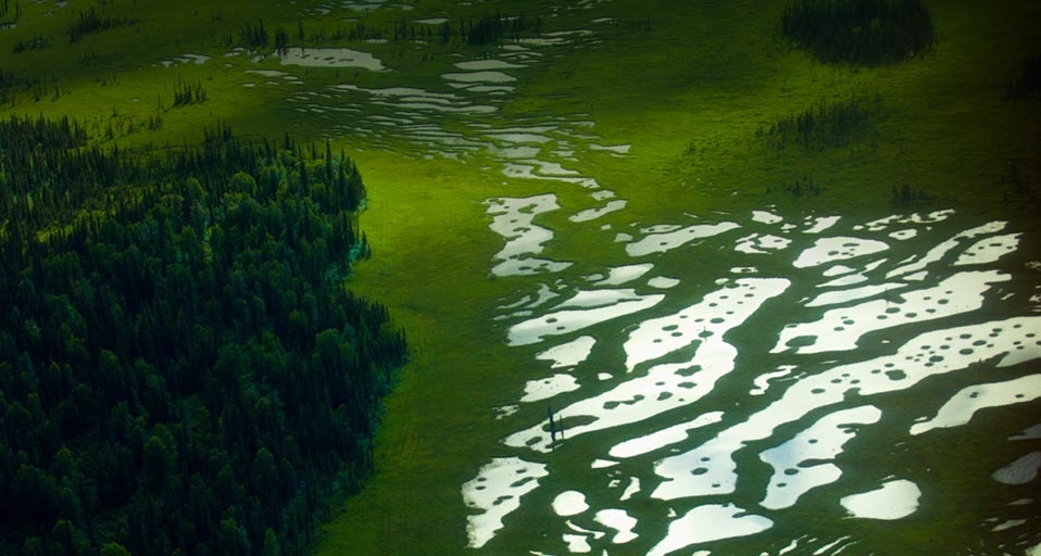 Lakes in a wetland south of Anchorage, Alaska -- Blaine Harrington III/Corbis &copy; (Bing Canada)