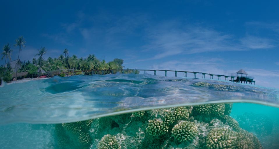 Fakarava Atoll in the Tuamotu Archipelago -- Sergio Pitamitz/Corbis &copy; (Bing United Kingdom)