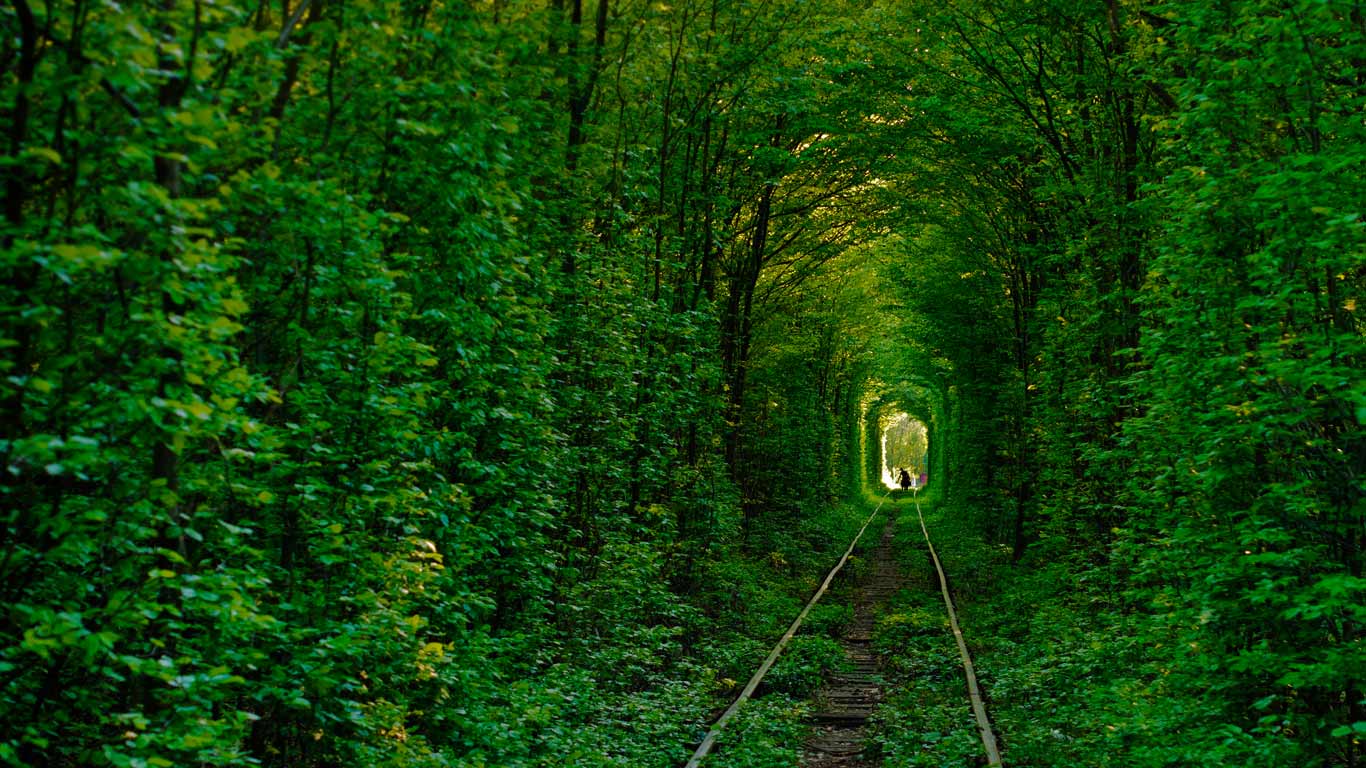 Tunnel of Love in Klevan, Ukraine (© Amos Chapple/Getty Images)(Bing United Kingdom)