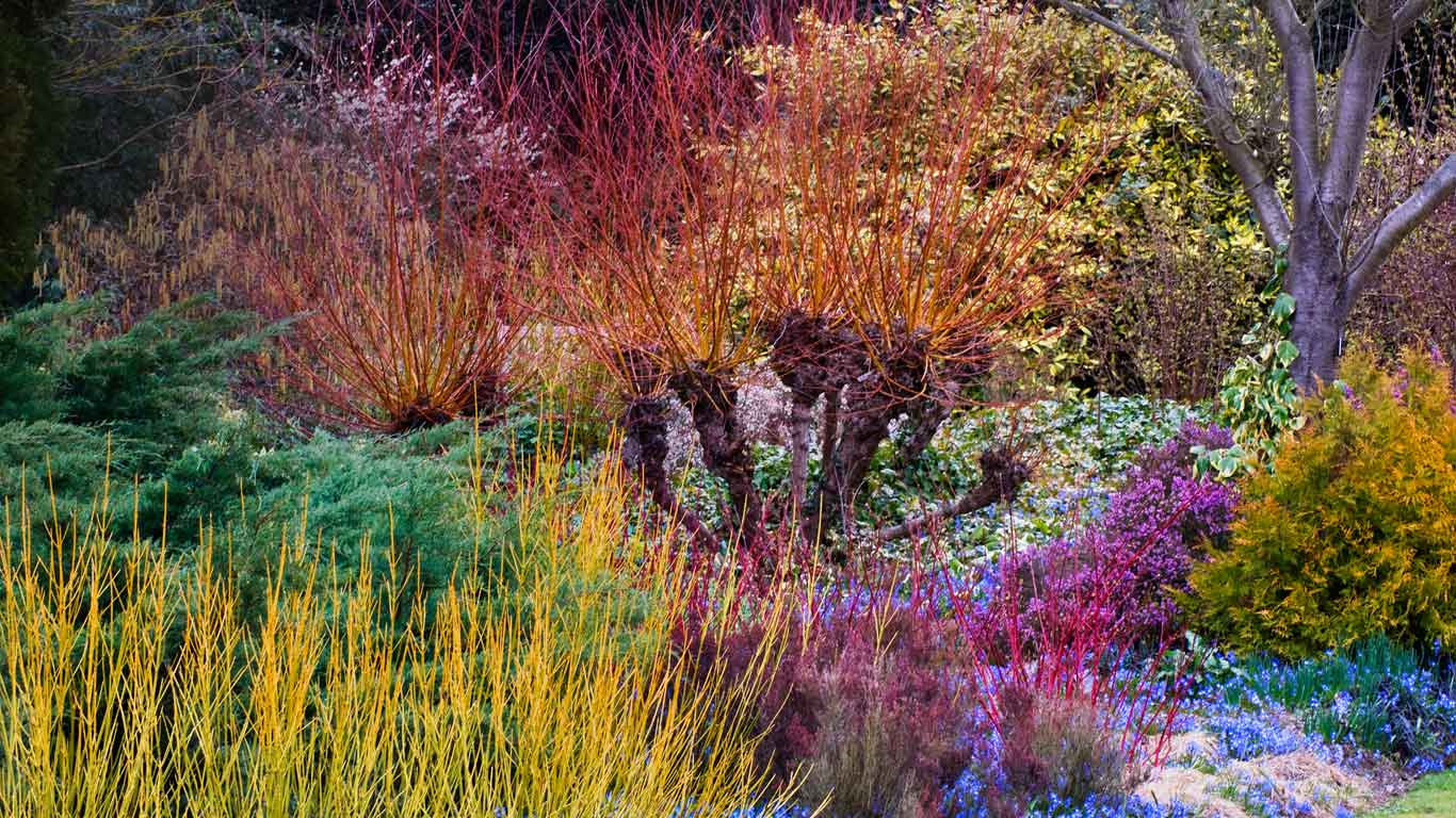 Cambridge University Botanic Garden, Cambridge, England (© Harpur Garden Library/Corbis)(Bing United Kingdom)